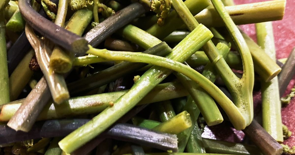 基本からアレンジまで!思わずつくりたくなる「わらび 茹でる」のレシピ集 | クックパッド