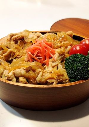 のっけ弁当2022.04.13豚丼-レシピのメイン写真