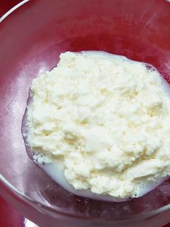 素粒水 豆乳ヨーグルト-レシピのメイン写真