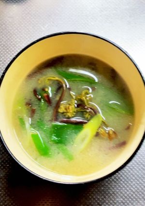 青ネギとワラビの味噌汁-レシピのメイン写真