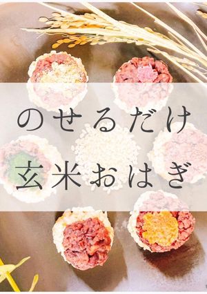 のせるだけ! 玄米おはぎ-レシピのメイン写真