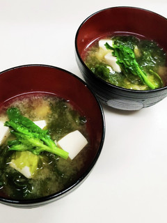 ◇旬のあおさのり香る☆お味噌汁◇-レシピのメイン写真
