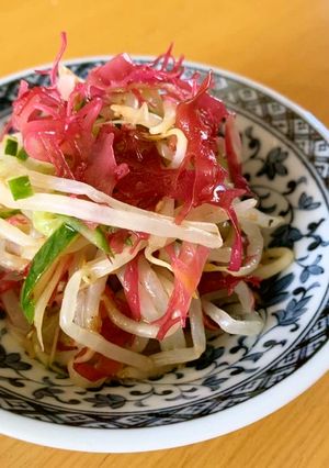 色鮮やか！とさかのりともやしの和え物-レシピのメイン写真