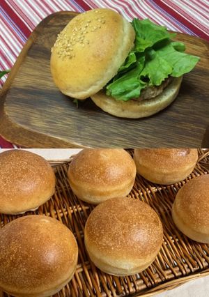 自家製酵母のパン:バーガーバンズ-レシピのメイン写真