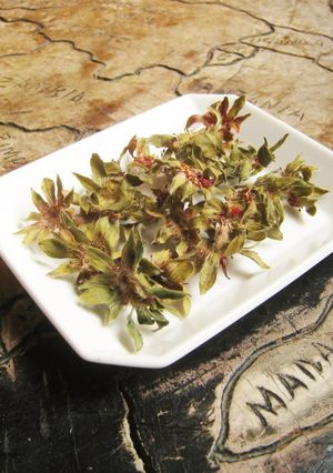 いちごのへた茶-レシピのメイン写真