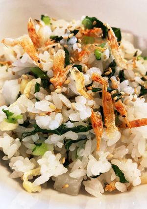 かぶと桜エビご飯-レシピのメイン写真