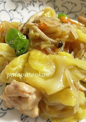 鶏肉とキャベツの中華風炒め物-レシピのメイン写真