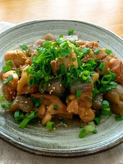 *甘辛食堂*鶏肉とこんにゃくの甘辛煮-レシピのメイン写真