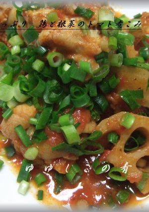 青葱たっぷり◆鶏と根菜のトマト煮込み-レシピのメイン写真