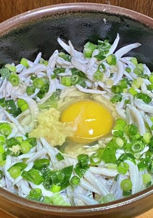 釜揚げシラスのぶっかけうどん-レシピのメイン写真