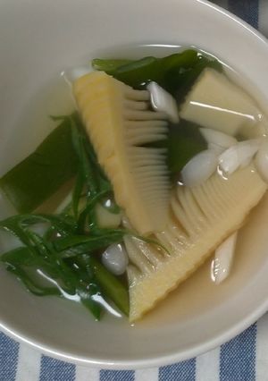 筍のお吸い物☆-レシピのメイン写真