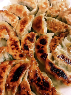 揚げ焼きしそ餃子-レシピのメイン写真