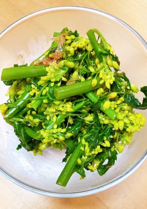 菜の花おひたし-レシピのメイン写真