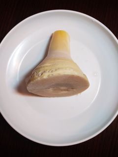 筍の下処理の方法-レシピのメイン写真