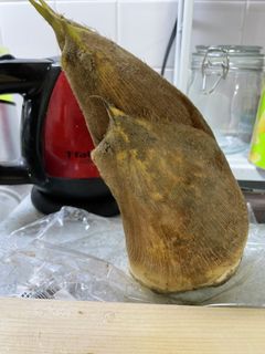 筍の下処理-レシピのメイン写真