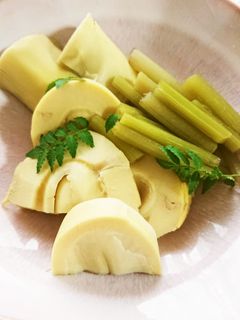 たけのことふきの煮物-レシピのメイン写真