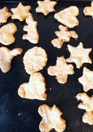 歯固めガリガリクッキー（ヴィーガン ）-レシピのメイン写真