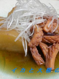 イカと大根の煮物-レシピのメイン写真
