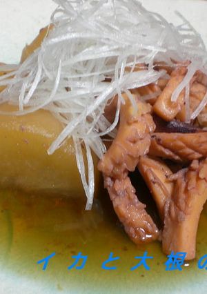 イカと大根の煮物-レシピのメイン写真