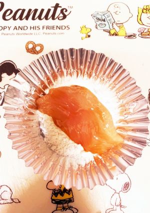 やわらか鶏胸肉で毎日ローテーション弁当★-レシピのメイン写真