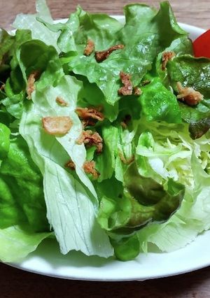 レタスのシャキシャキを取り戻す-レシピのメイン写真