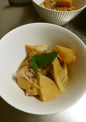 豚肉と竹の子の煮物-レシピのメイン写真