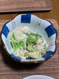 白菜の和風ツナマヨ和え-レシピのメイン写真