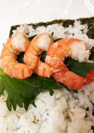 おにぎらず寿司弁当　420-レシピのメイン写真
