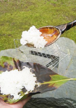 アボカドの葉炊飯-レシピのメイン写真