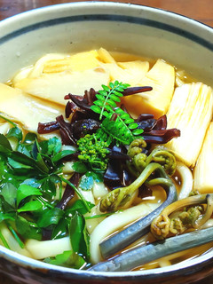 発酵筍(メンマ)蕨うどん 木の芽・花山椒-レシピのメイン写真