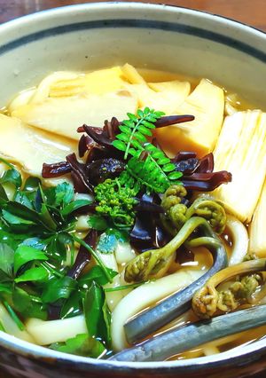 発酵筍（メンマ）蕨うどん　木の芽・花山椒-レシピのメイン写真