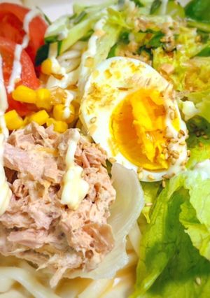 夏にぴったり!激うまサラダうどん-レシピのメイン写真