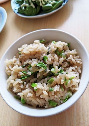 コシアブラ混ぜご飯-レシピのメイン写真
