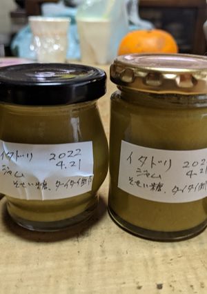 イタドリジャム-レシピのメイン写真