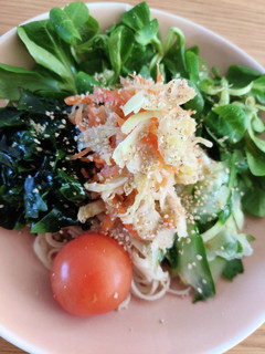 ザワークラウトサラダうどん-レシピのメイン写真