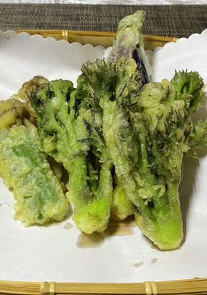 タラの芽の天ぷら(タラっぽの天ぷら)-レシピのメイン写真