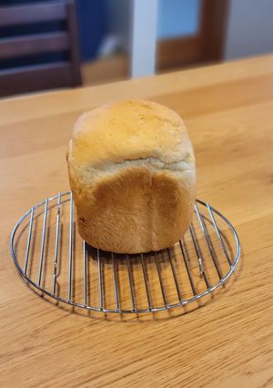 HBでふんわりもちもち!大麦粉入り食パン-レシピのメイン写真