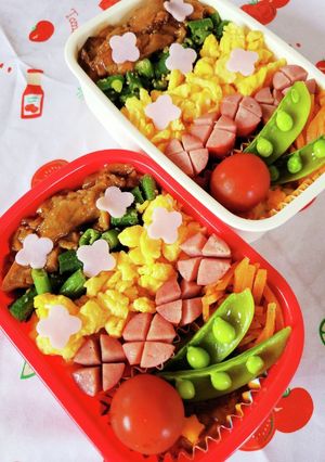 三色？四色？何色丼！？春のどんぶり弁当☆-レシピのメイン写真