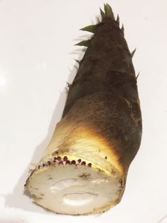 【たけのこ】の下処理-レシピのメイン写真