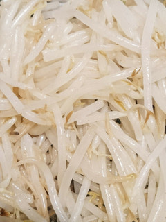 茹でもやしは自然に冷ます-レシピのメイン写真