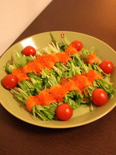 スモークサーモンの水菜まきまきサラダ-レシピのメイン写真