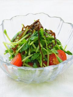 豆苗とトマトの塩昆布浅漬け-レシピのメイン写真