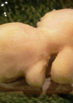 生姜の皮むき-レシピのメイン写真