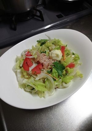 サラダうどん-レシピのメイン写真