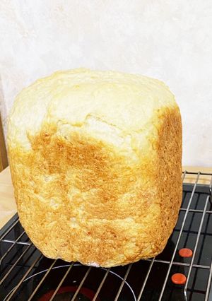 冷やご飯パン・ゴパン(覚書)-レシピのメイン写真
