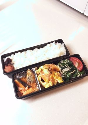 ヘルシー弁当-レシピのメイン写真