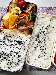 野菜炒め弁当(4.26)-レシピのメイン写真