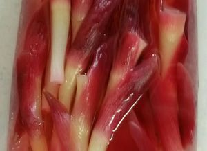 カンタン酢で超簡単ミョウガの甘酢づけ-レシピのメイン写真