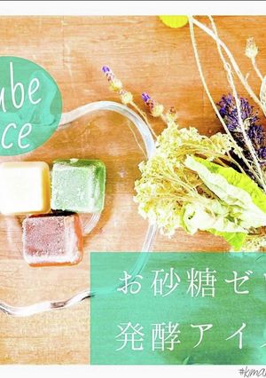 お砂糖ゼロ！発酵アイス-レシピのメイン写真