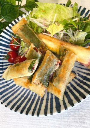 梅とシーチキンの春巻き-レシピのメイン写真
